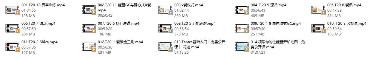 TC性与爱 T20（重新点燃欲望）