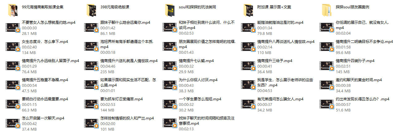 冯玺谏.职业社交玩法（正版课程）