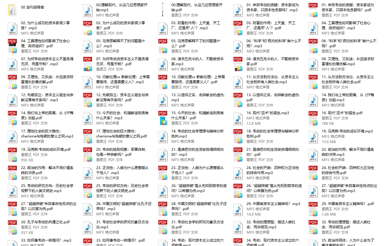 杨照 认识现代社会的真相：韦伯60讲